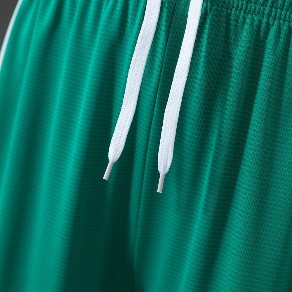 Northern Ireland Home Shorts 2026 Football Kit Soccer product image 6