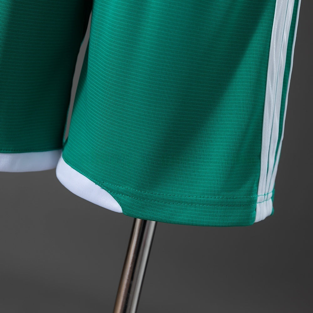Northern Ireland Home Shorts 2026 Football Kit Soccer product image 5