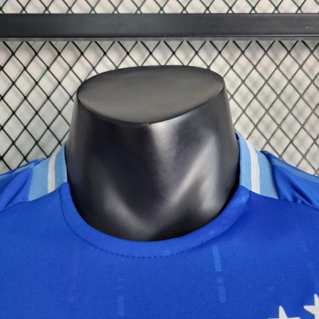 Player Argentina Away Kit 24/25 Copa America 2024 Football product image 6