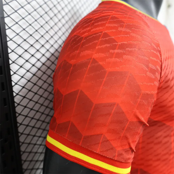 Player Version Spain special Kit 24/25 Euro Cup 2024 product image 6