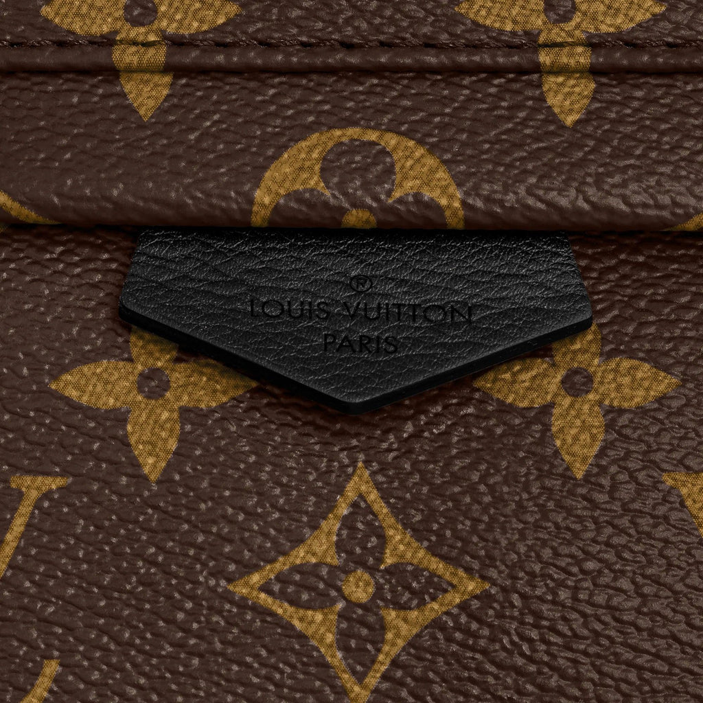 Louis Vuitton Palm Springs PM Handbag product image 5, provided for visual reference and product detail review