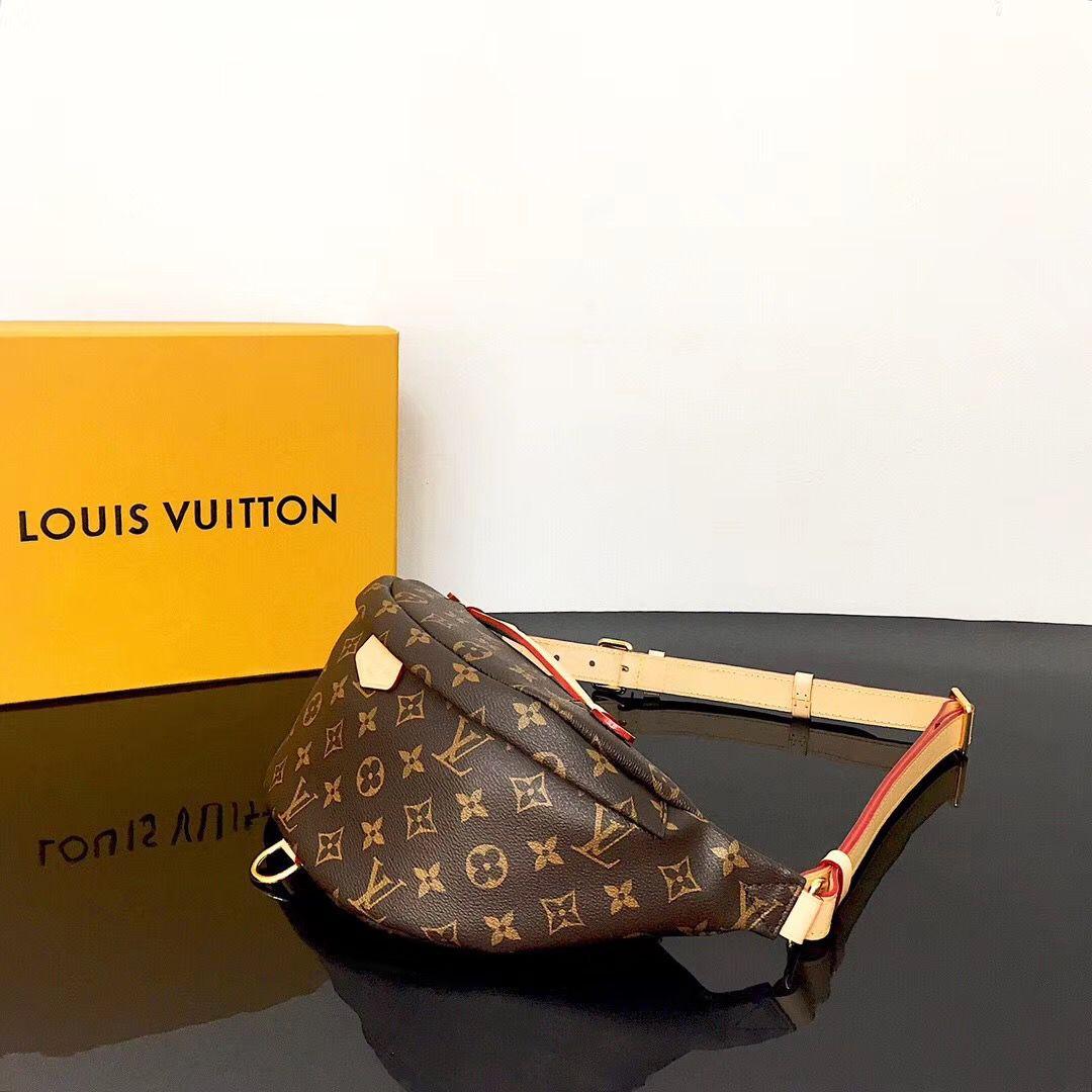 Louis Vuitton Bumbag Monogram Canvas product image 2, provided for visual reference and product detail review
