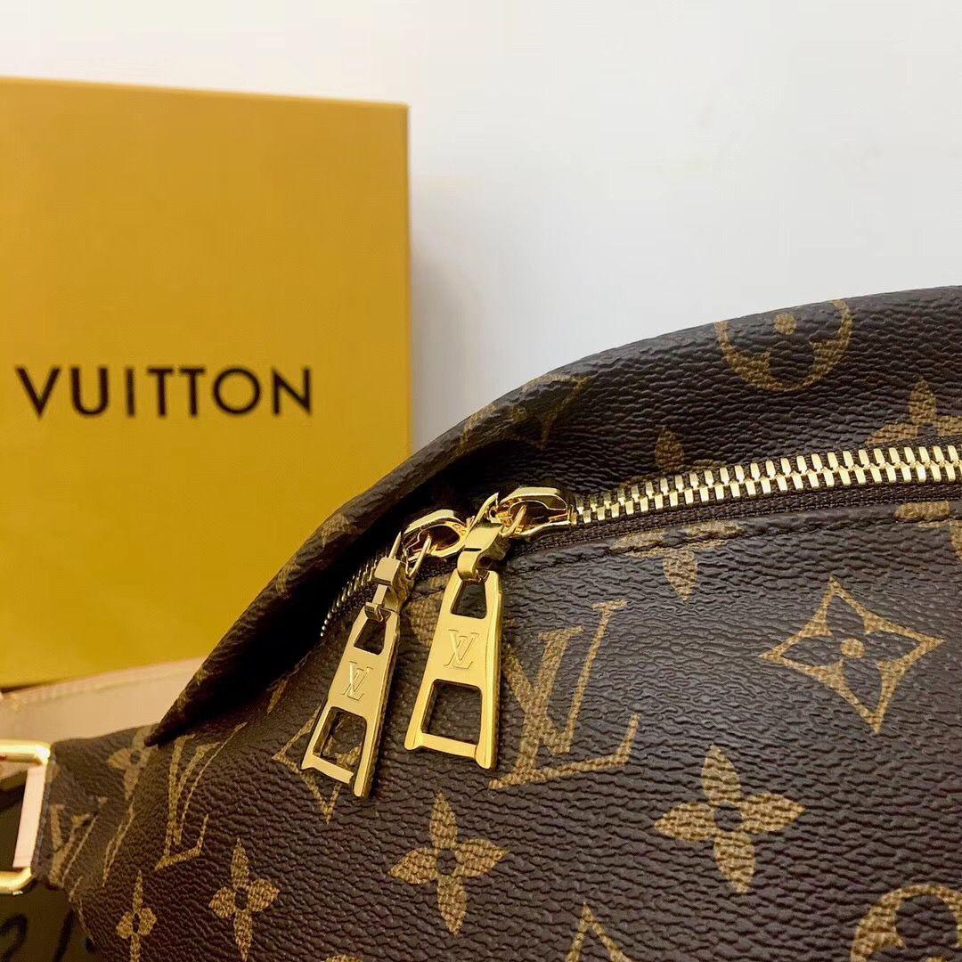 Louis Vuitton Bumbag Monogram Canvas product image 4, provided for visual reference and product detail review