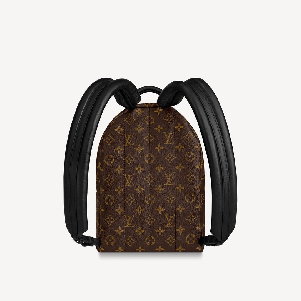 Louis Vuitton Palm Springs PM Handbag product image 3, provided for visual reference and product detail review