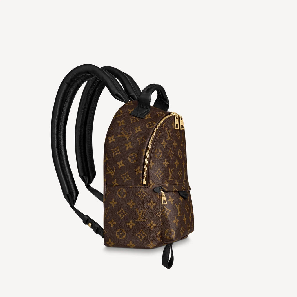 Louis Vuitton Palm Springs PM Handbag product image 2, provided for visual reference and product detail review
