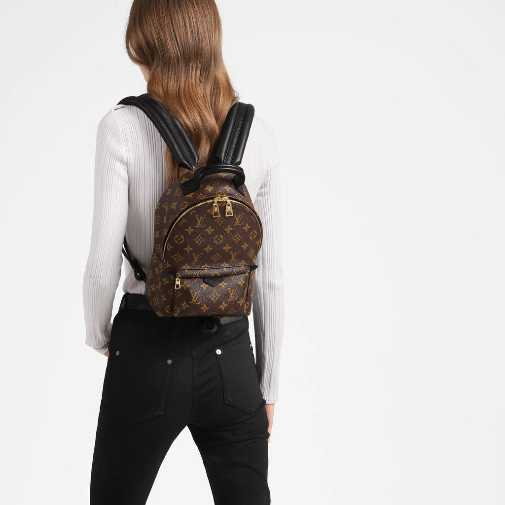 Louis Vuitton Palm Springs PM Handbag product image 7, provided for visual reference and product detail review