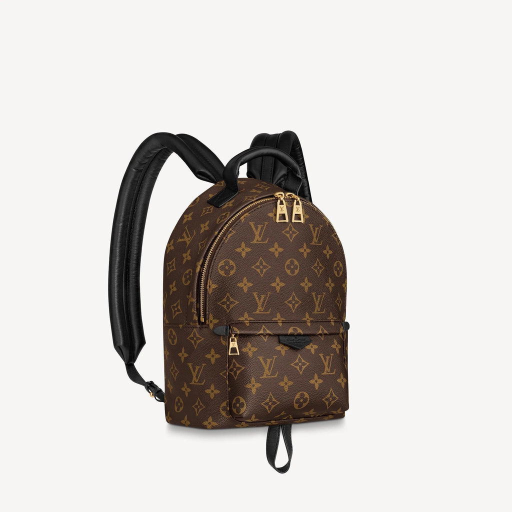 Louis Vuitton Palm Springs PM Handbag product image 1, provided for visual reference and product detail review