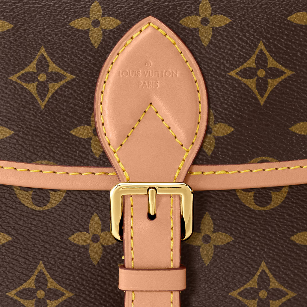 LV Diane Satchel Bag product image 3, provided for visual reference and product detail review