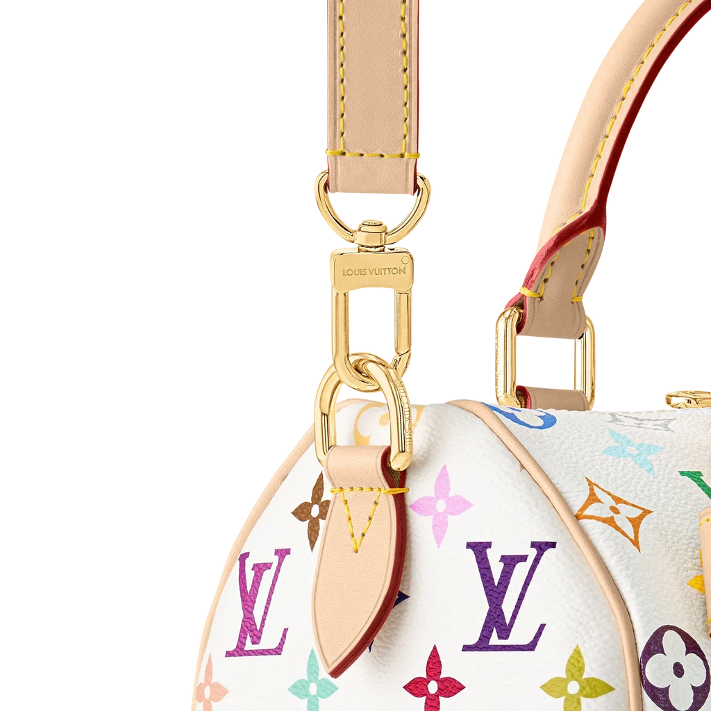 LV x TM Speedy Bandoulière 25 Handbag - Multicolored product image 5, provided for visual reference and product detail review