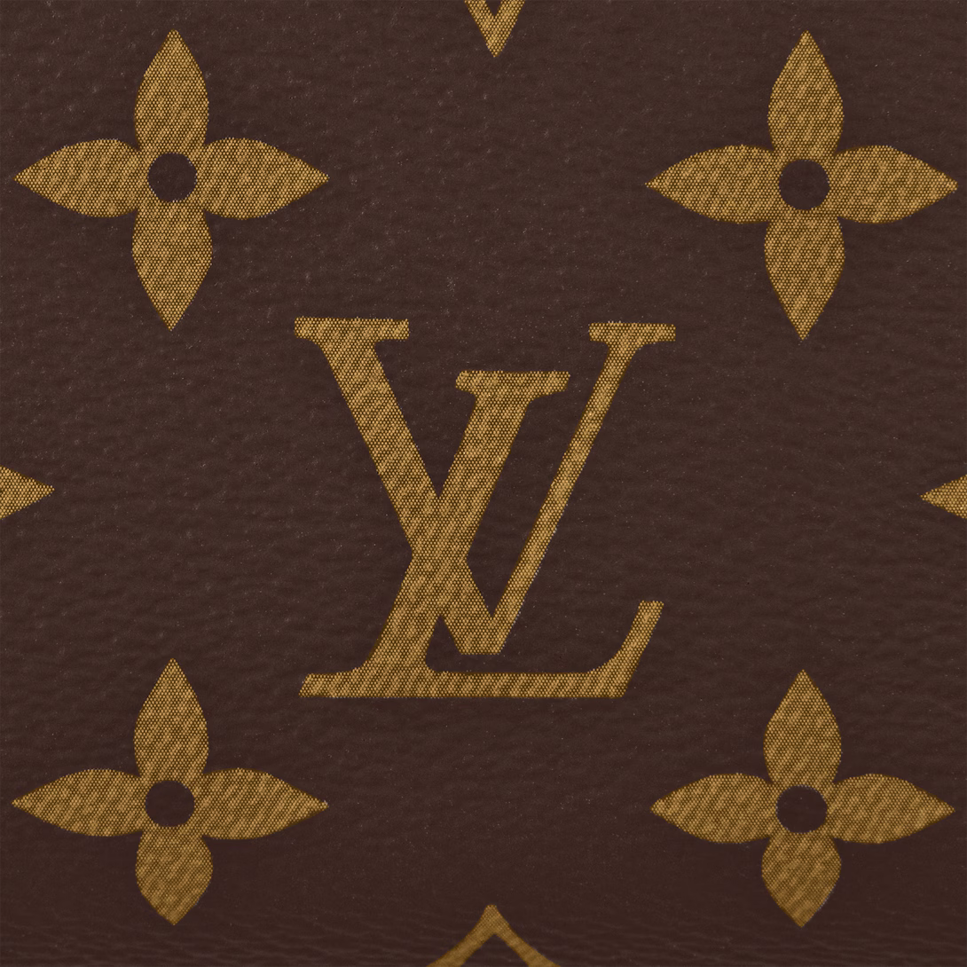 LV Speedy 20 Bag product image 5, provided for visual reference and product detail review