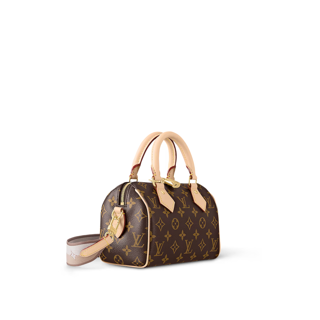 LV Speedy 20 Bag product image 1, provided for visual reference and product detail review