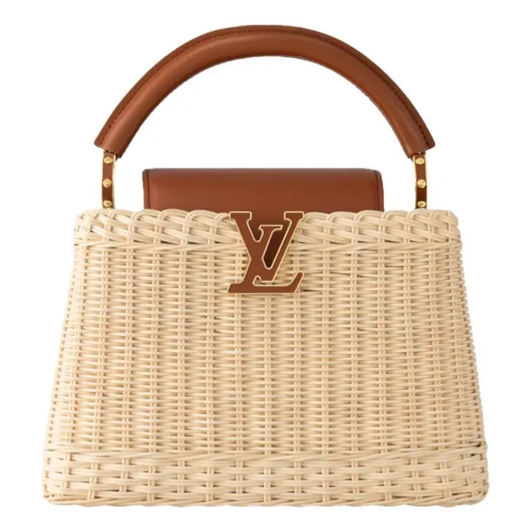 LV Capucines Mini Bag product image 1, provided for visual reference and product detail review