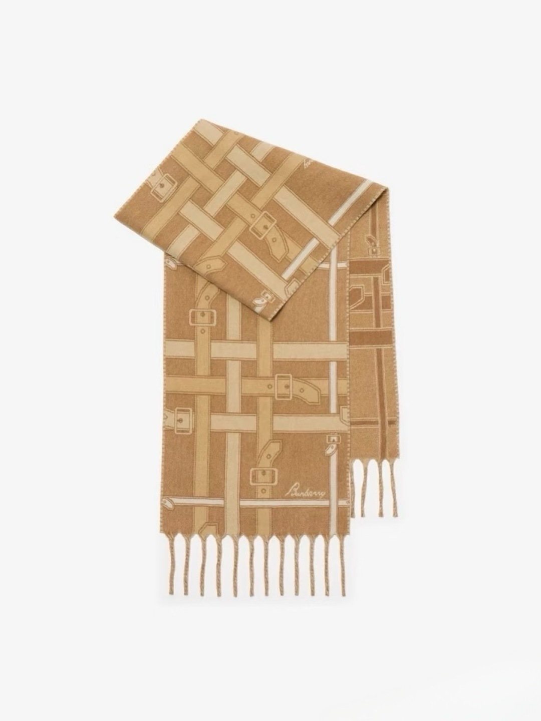 Burberry Reversible Cashmere Fringe Scarf product image 1, provided for visual reference and product detail review