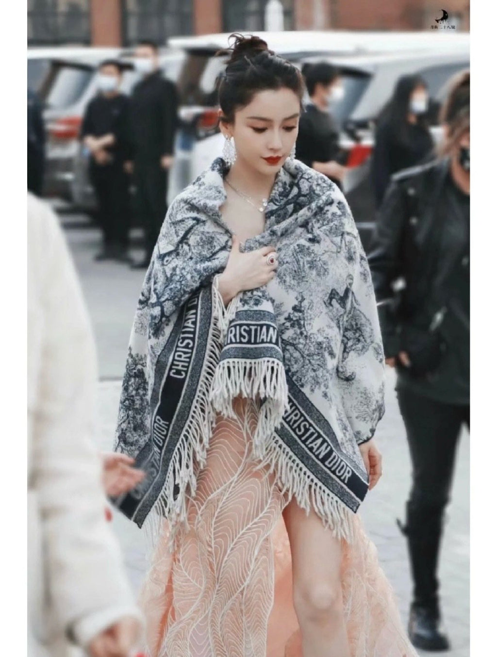 Dior Animal Jacquard Fringed Scarf product image 5, provided for visual reference and product detail review