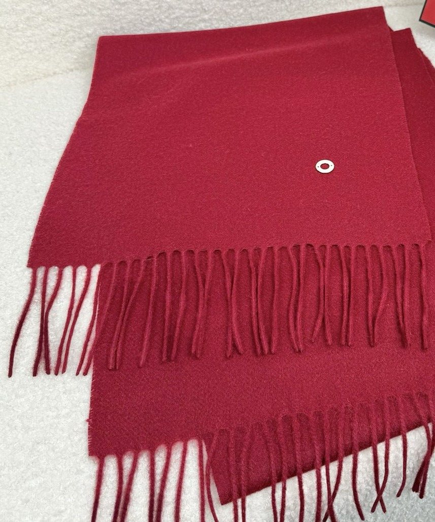Loro Piana Fringed Cashmere Scarf product image 1, provided for visual reference and product detail review