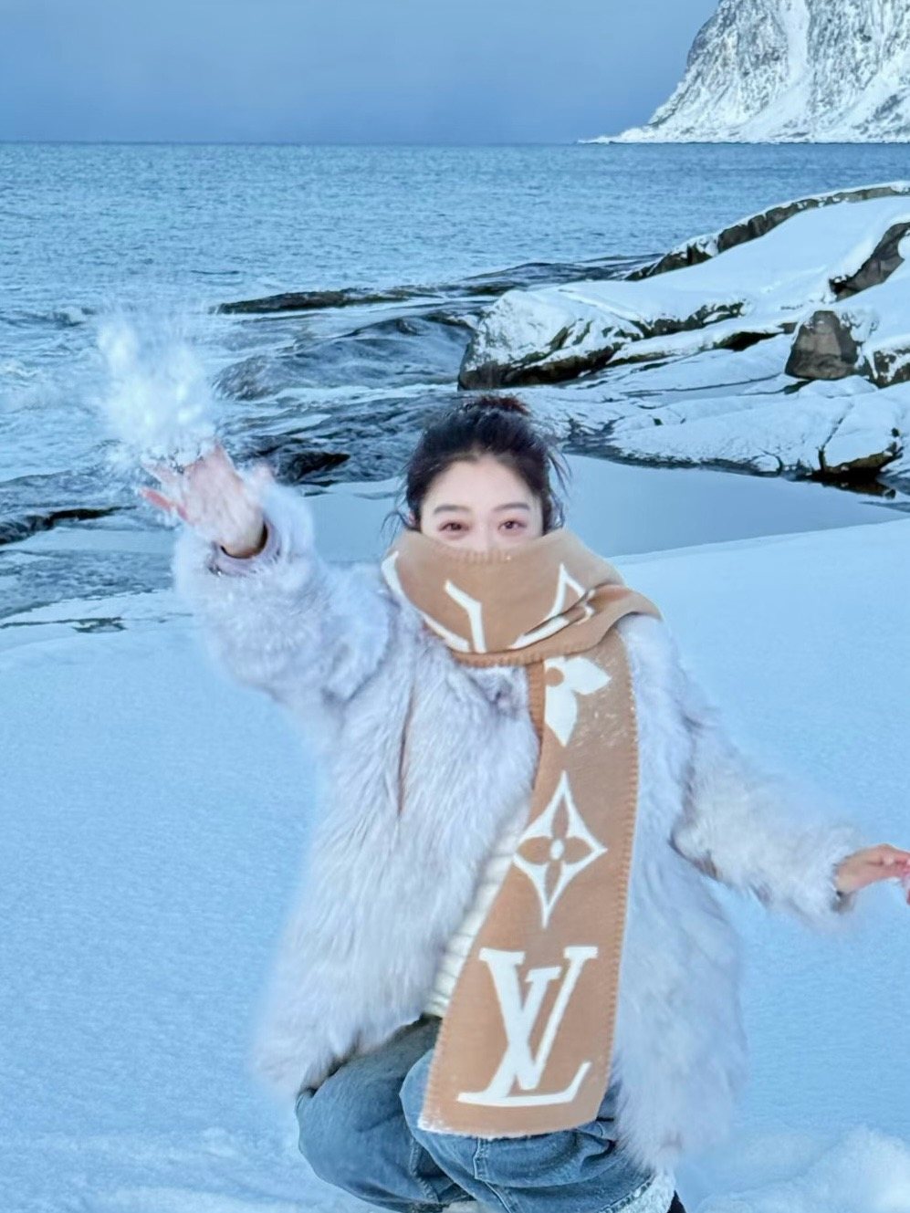 Louis Vuitton Oversized Monogram Fashion Scarf product image 11, provided for visual reference and product detail review