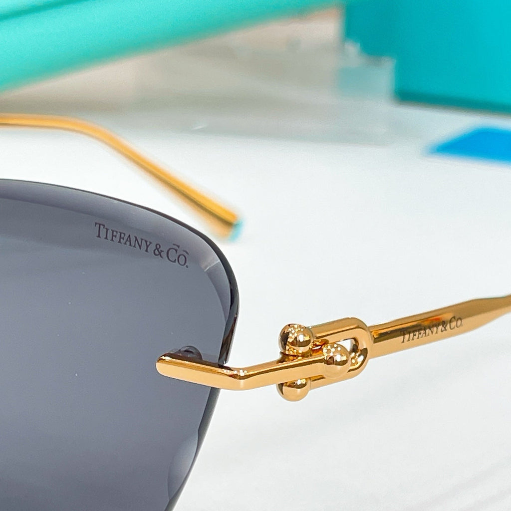 Tiffany & Co. TF3103SK Sunglasses product image 13, provided for visual reference and product detail review