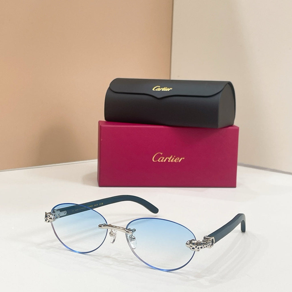 Cartier CT0695S Sunglasses product image 6, provided for visual reference and product detail review