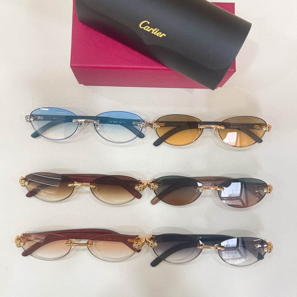 Cartier CT0695S Sunglasses product image 8, provided for visual reference and product detail review