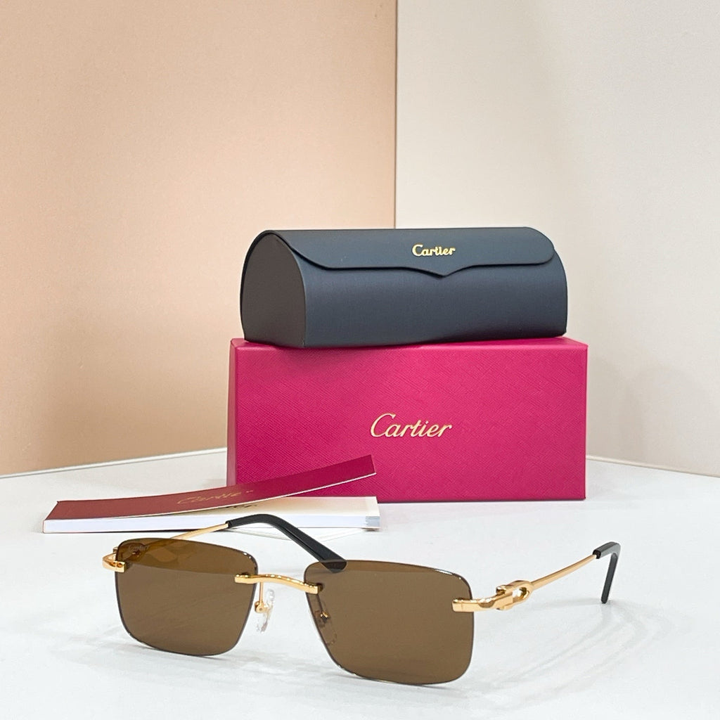 Cartier CT0521O Sunglasses product image 6, provided for visual reference and product detail review