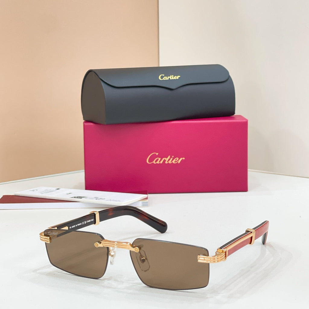 Cartier CT0485O Sunglasses product image 1, provided for visual reference and product detail review