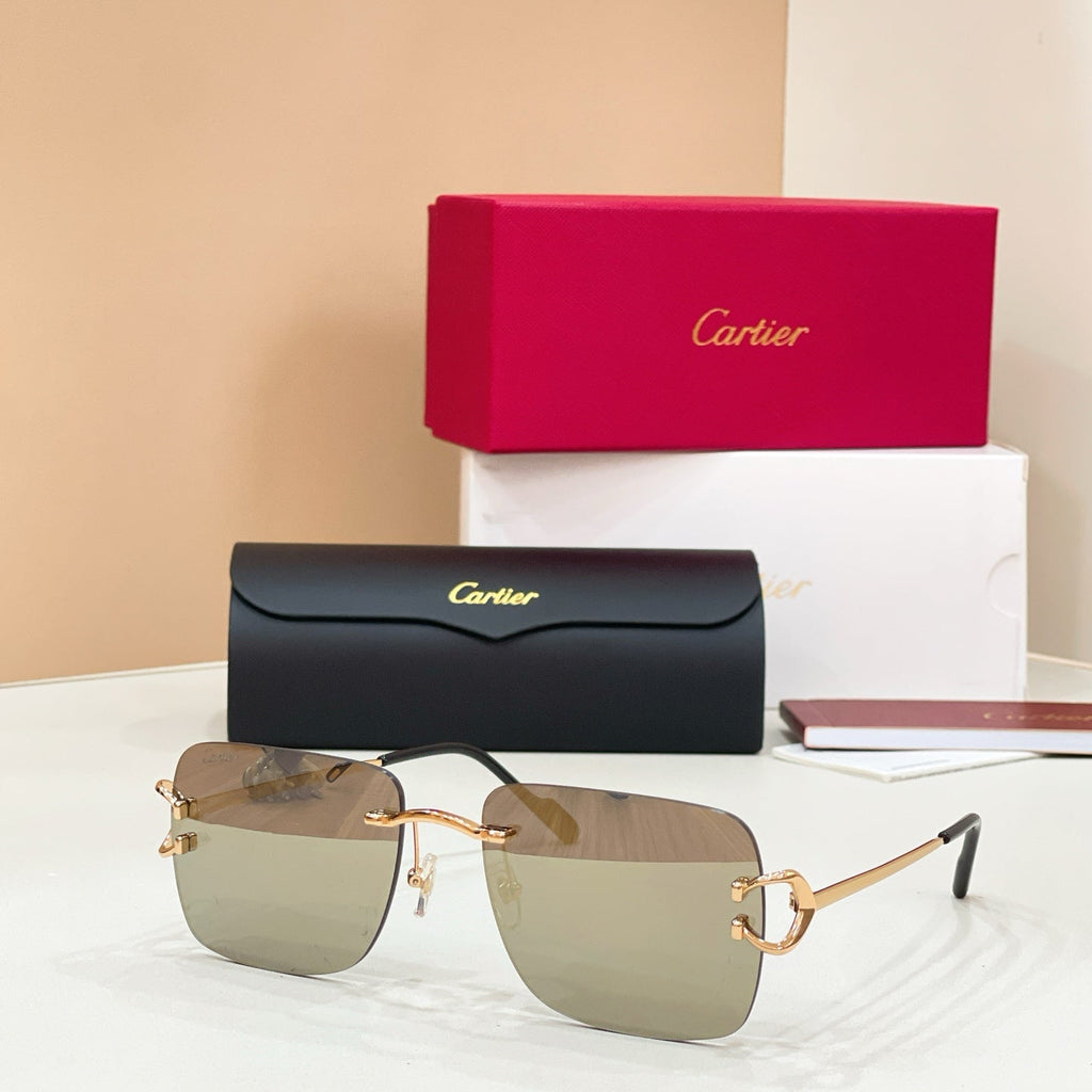 Cartier CT0330S Sunglasses product image 6, provided for visual reference and product detail review