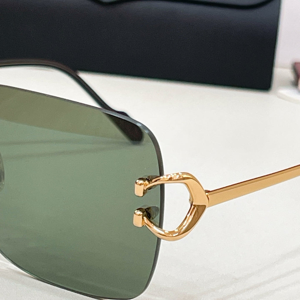 Cartier CT0330S Sunglasses product image 9, provided for visual reference and product detail review