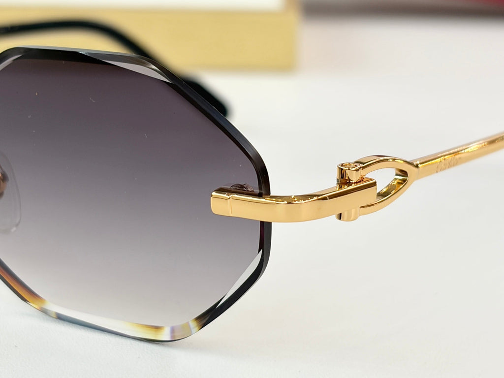 Cartier CT01831O Sunglasses product image 9, provided for visual reference and product detail review