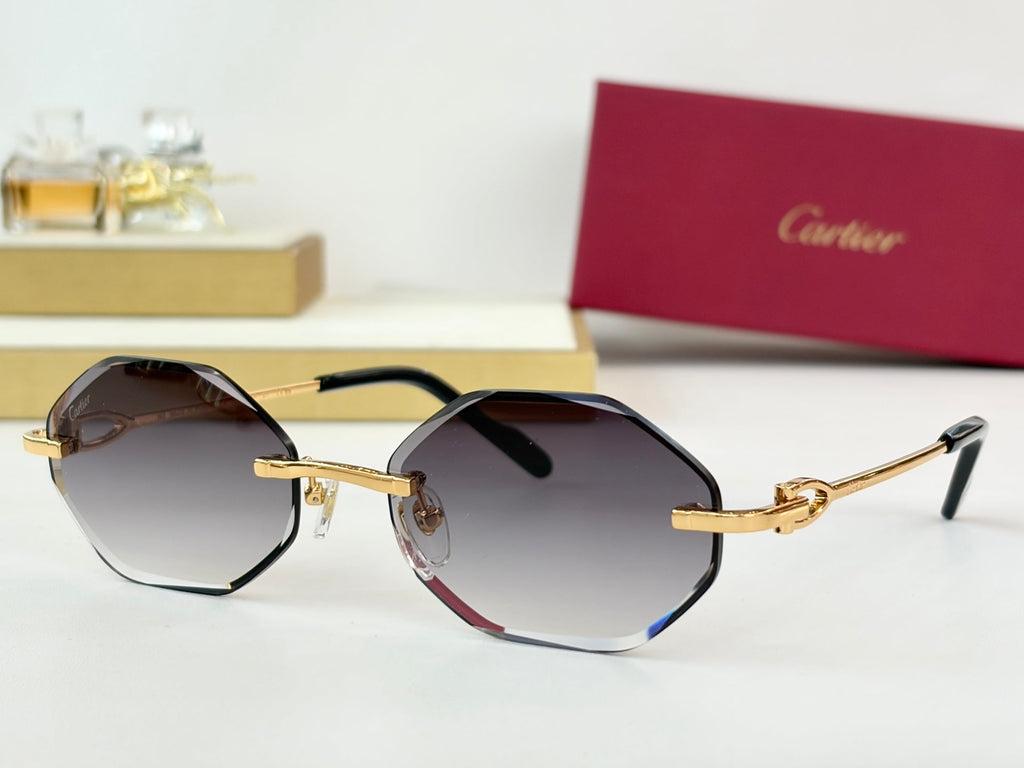 Cartier CT01831O Sunglasses product image 8, provided for visual reference and product detail review