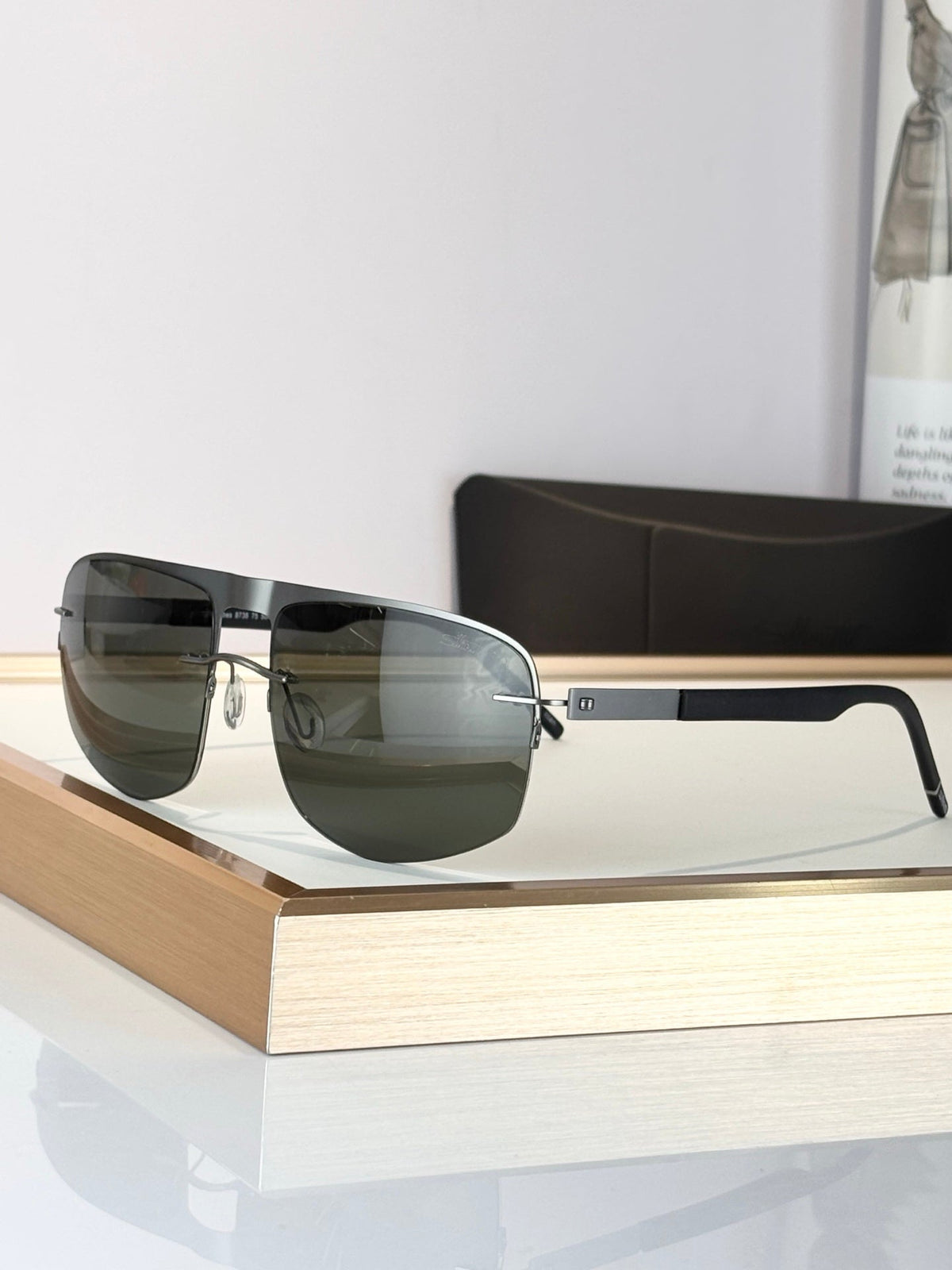 Persol Pedralbes 8738 Sunglasses product image 3, provided for visual reference and product detail review