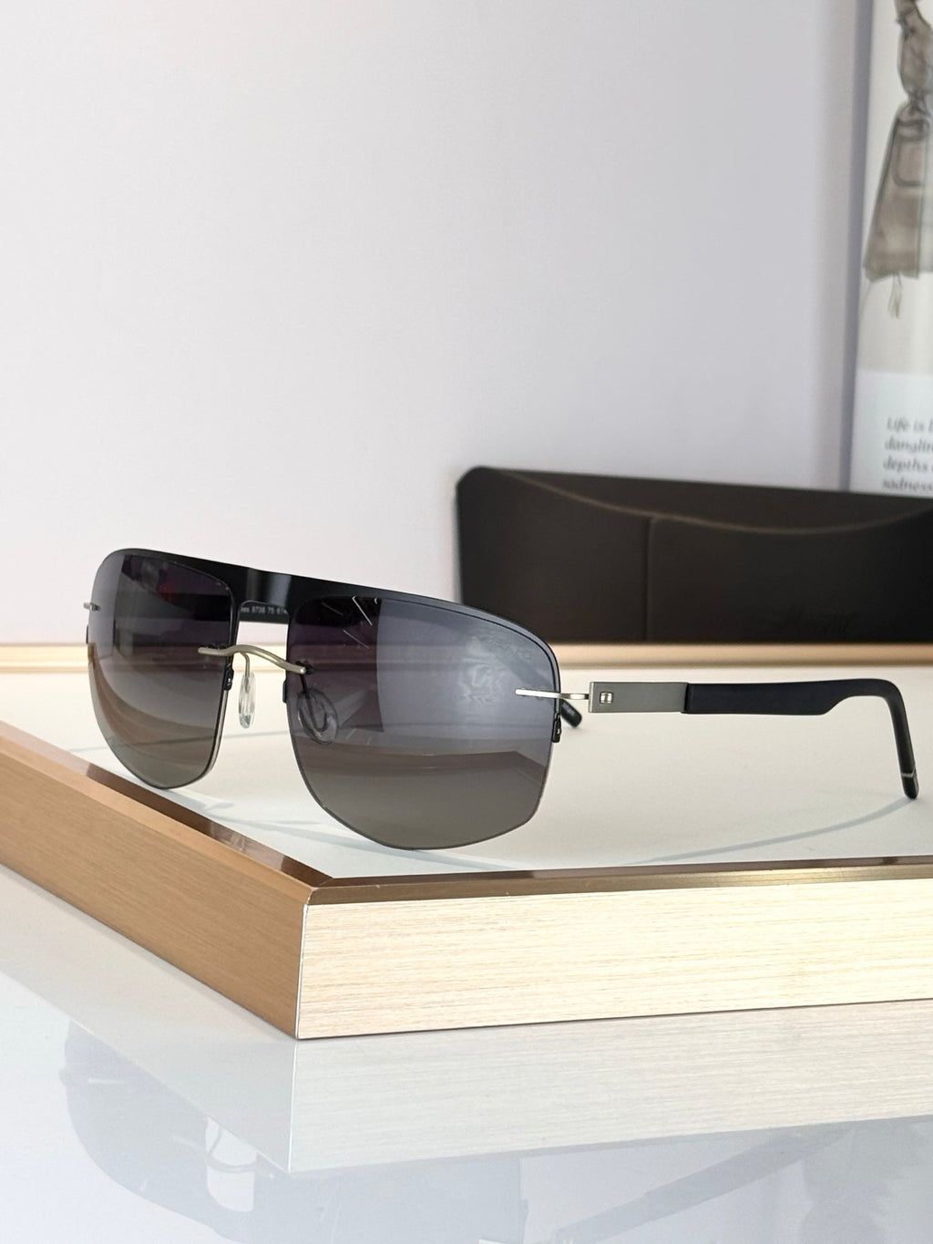 Persol Pedralbes 8738 Sunglasses product image 4, provided for visual reference and product detail review