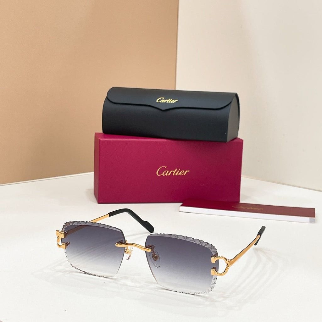 Cartier CT02031O Sunglasses product image 1, provided for visual reference and product detail review