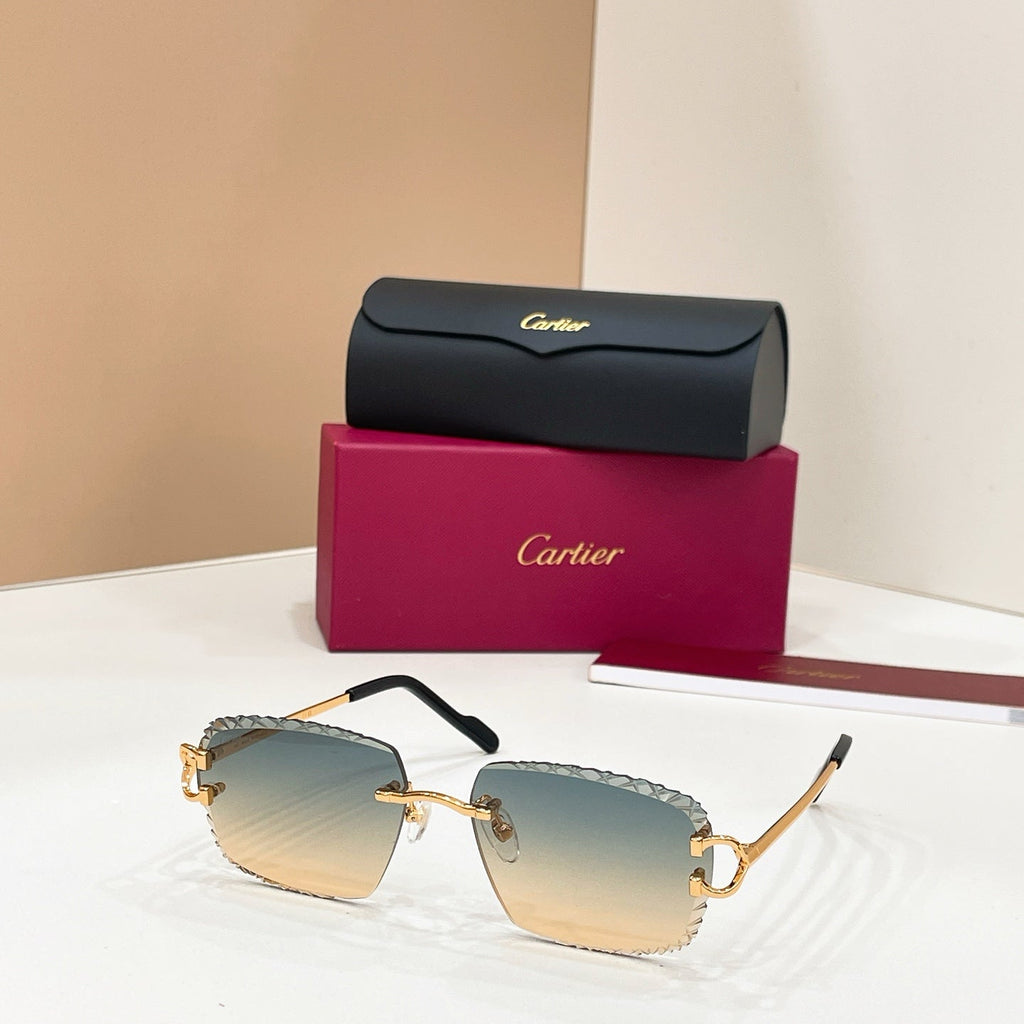 Cartier CT02031O Sunglasses product image 9, provided for visual reference and product detail review