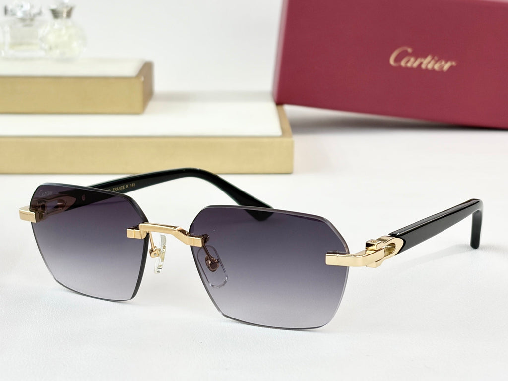 Cartier CT0623O Sunglasses product image 1, provided for visual reference and product detail review