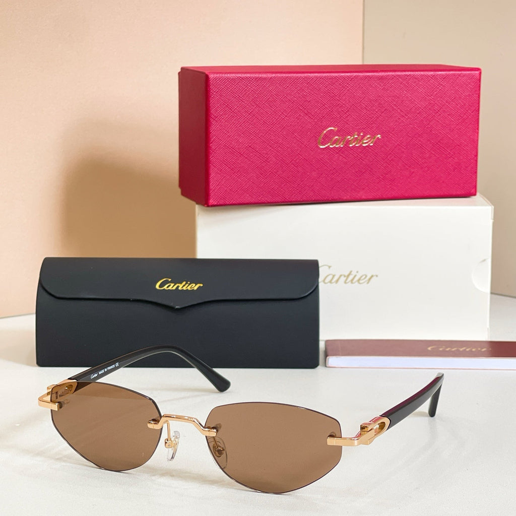 Cartier CT0580S Sunglasses product image 4, provided for visual reference and product detail review