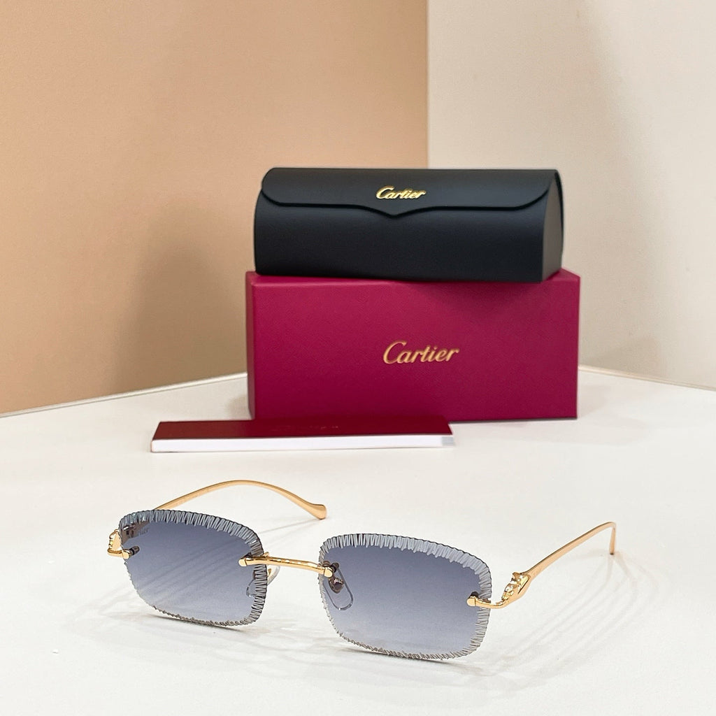 Cartier CT0836S Sunglasses product image 1, provided for visual reference and product detail review