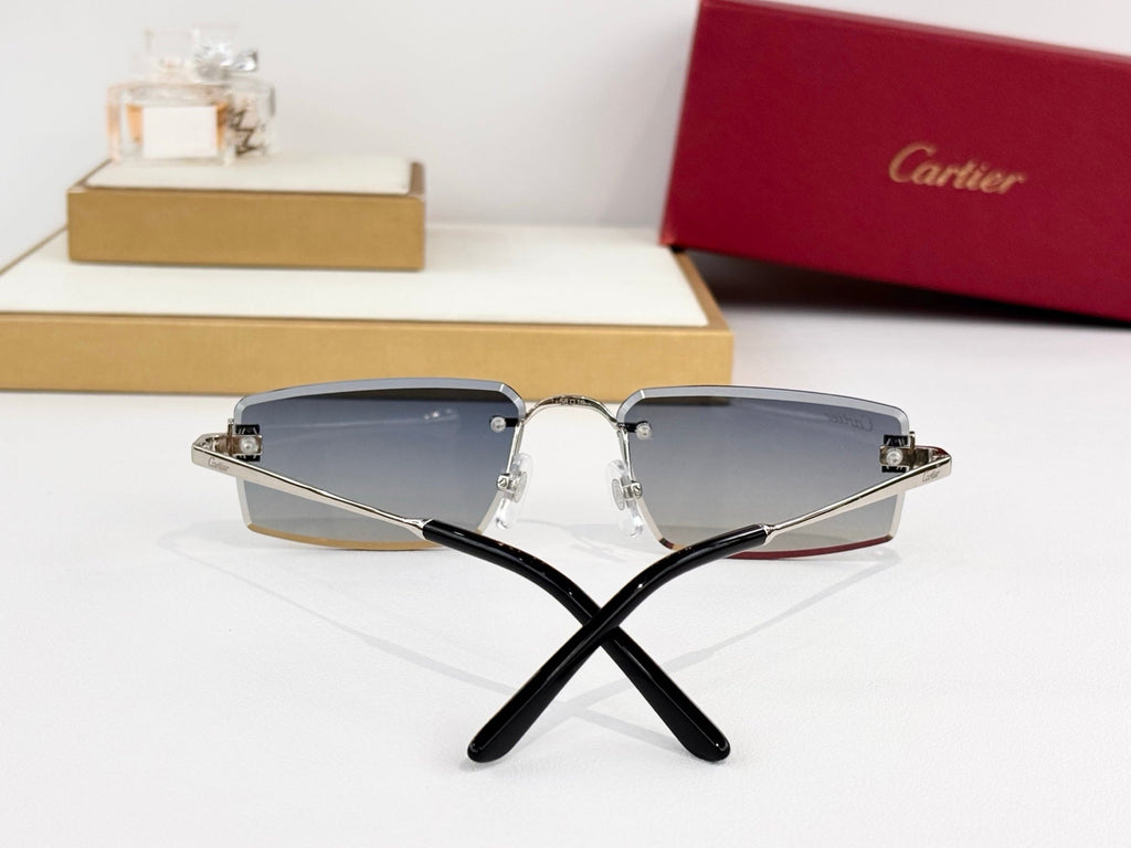 Cartier CT05950 Sunglasses product image 9, provided for visual reference and product detail review