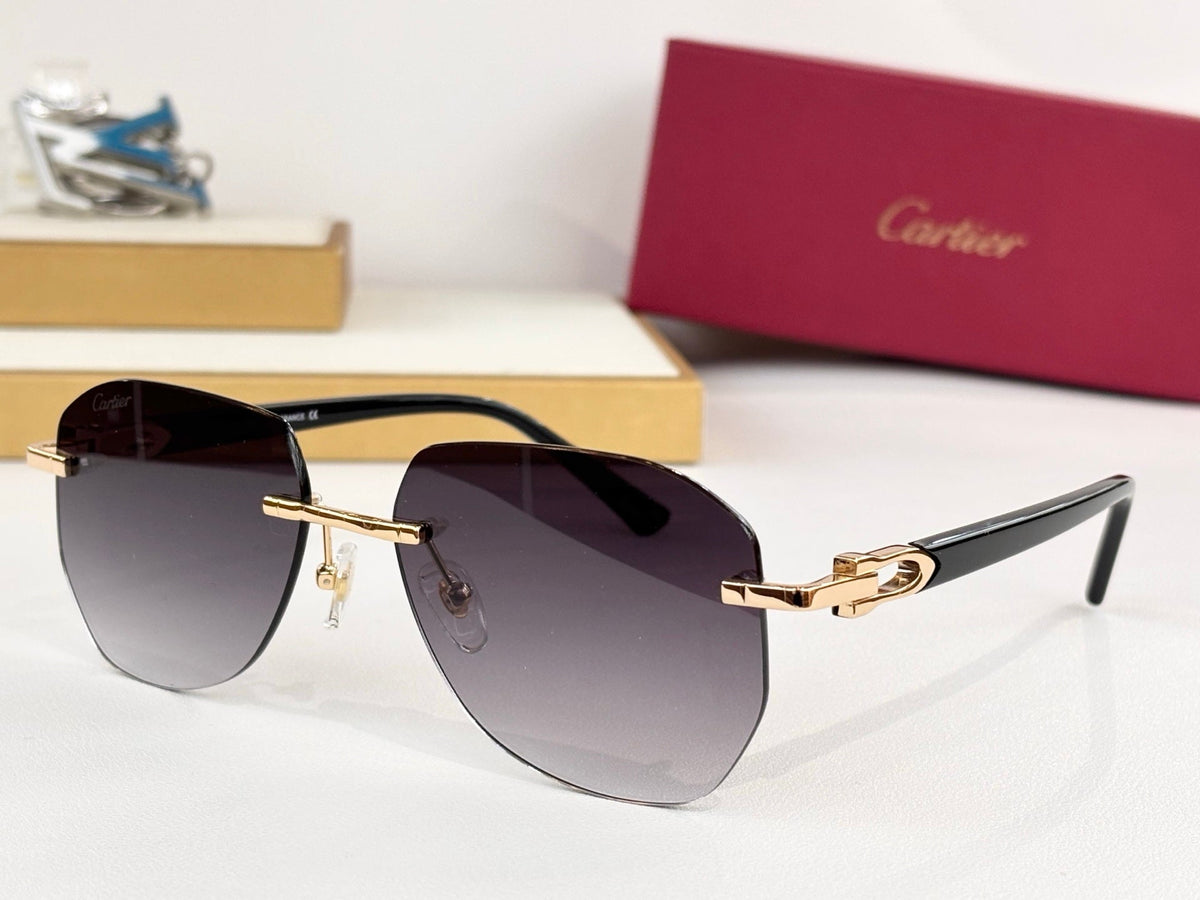 Cartier CT0583S Sunglasses product image 2, provided for visual reference and product detail review