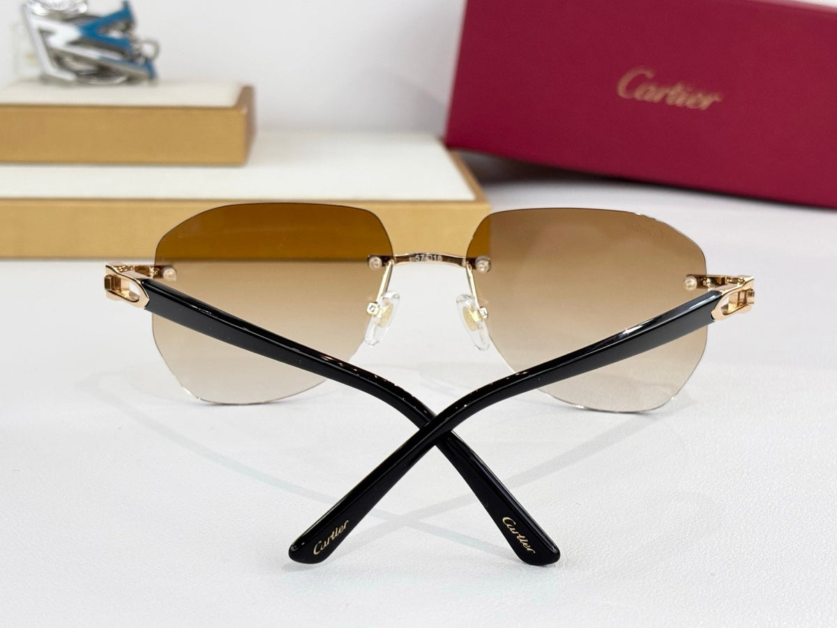 Cartier CT0583S Sunglasses product image 9, provided for visual reference and product detail review