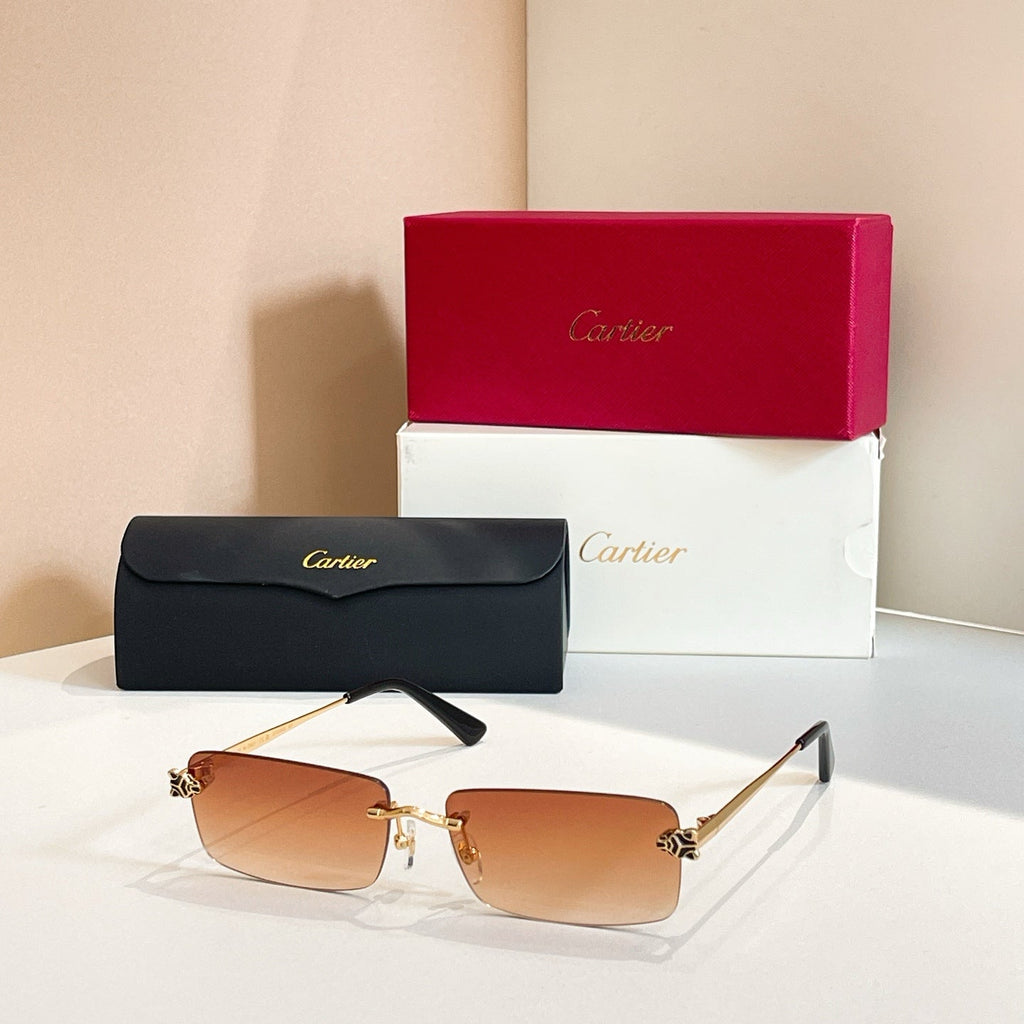 Cartier CT0598S Sunglasses product image 8, provided for visual reference and product detail review