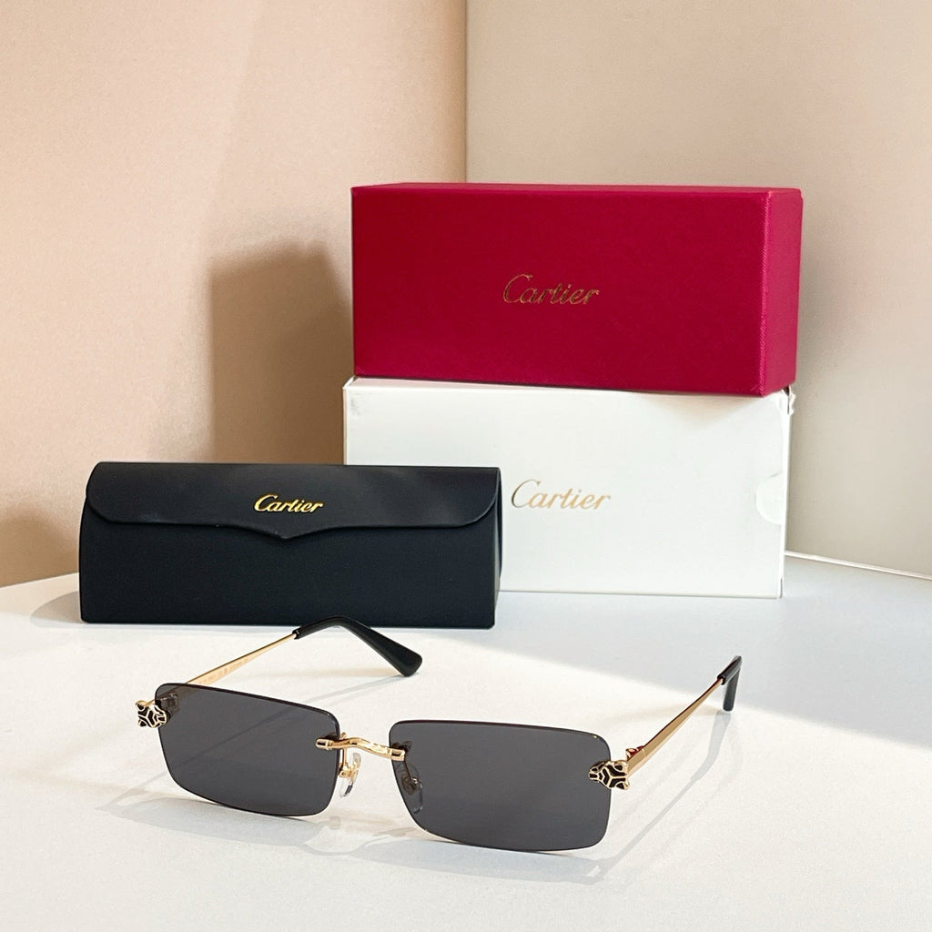 Cartier CT0598S Sunglasses product image 9, provided for visual reference and product detail review