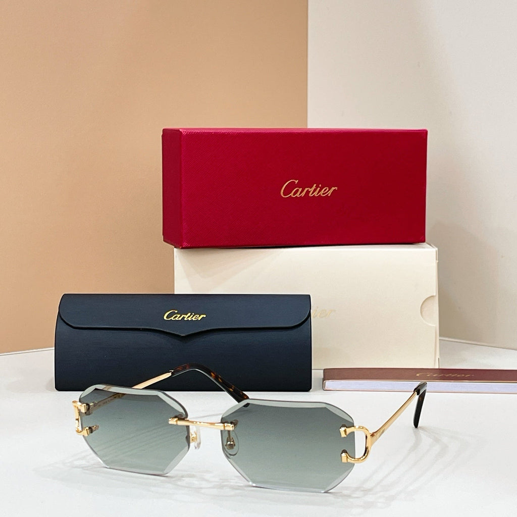 Cartier CT0092O Eyeglass Frames product image 2, provided for visual reference and product detail review