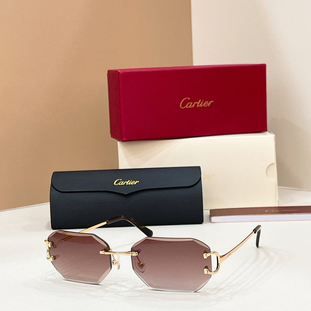Cartier CT0092O Eyeglass Frames product image 3, provided for visual reference and product detail review