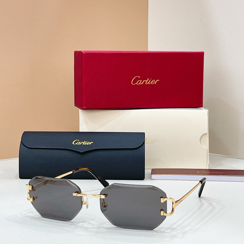 Cartier CT0092O Eyeglass Frames product image 5, provided for visual reference and product detail review