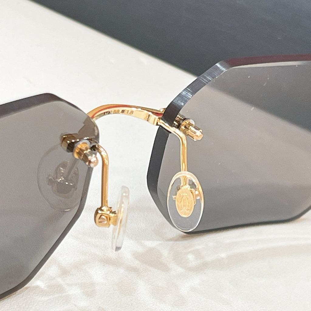 Cartier CT0092O Eyeglass Frames product image 7, provided for visual reference and product detail review