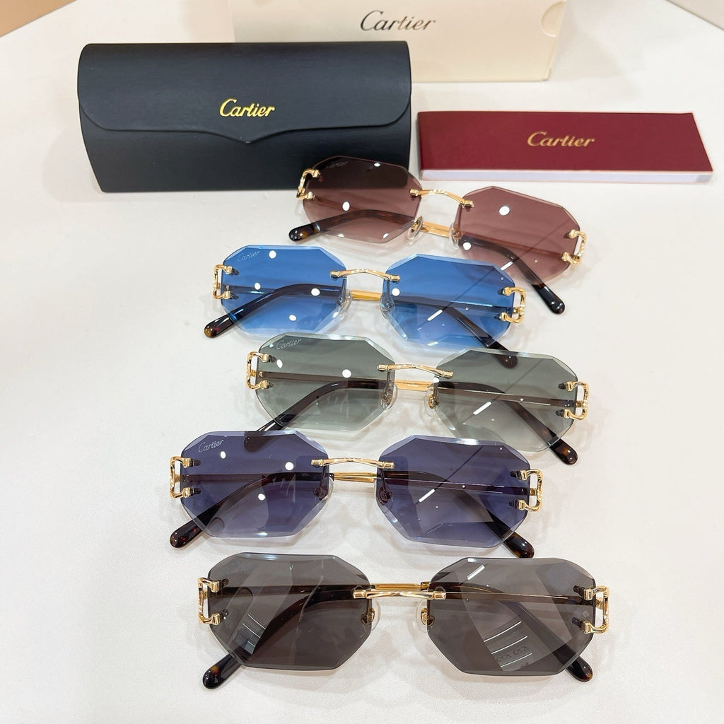 Cartier CT0092O Eyeglass Frames product image 9, provided for visual reference and product detail review