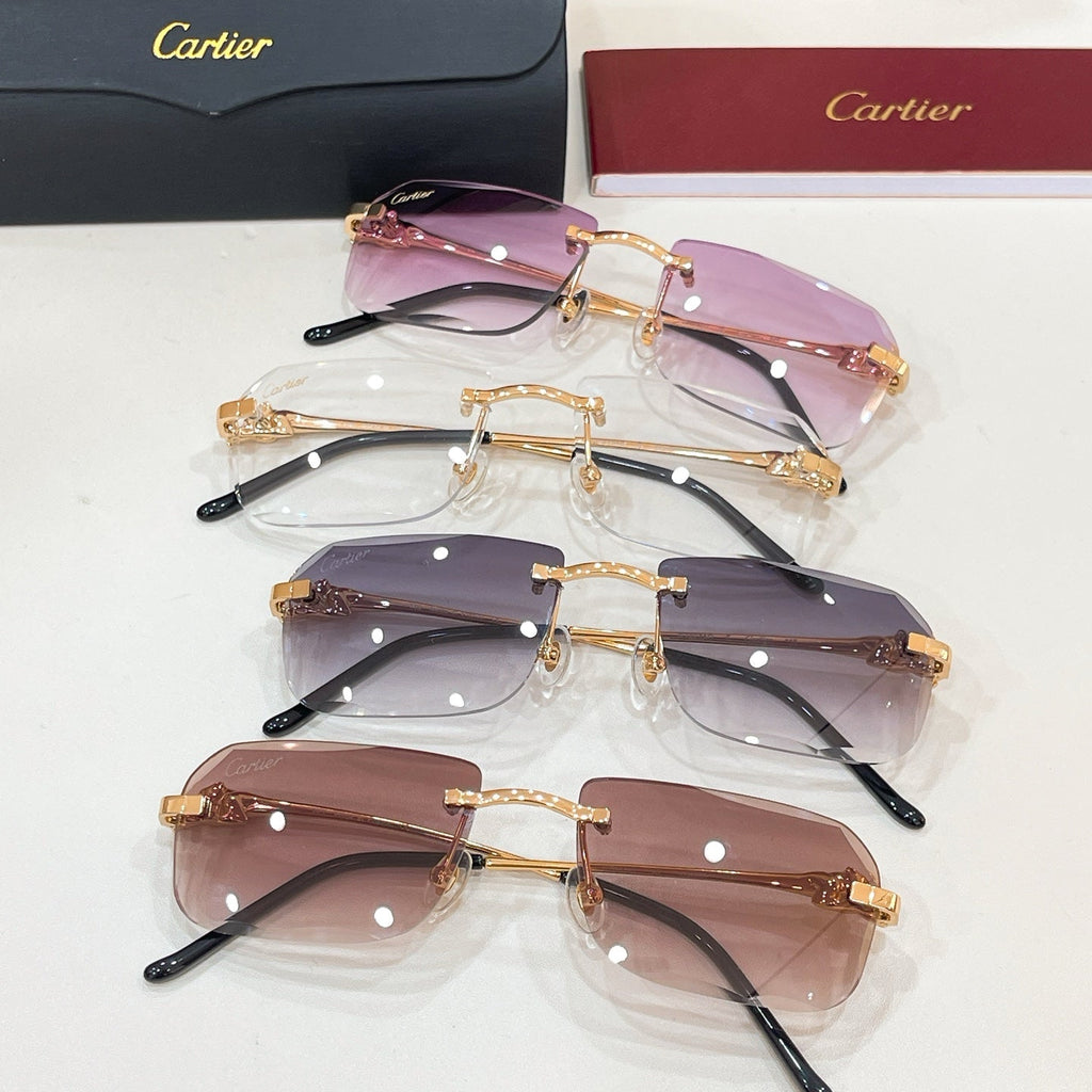Cartier CT0281O Eyeglass Frames product image 9, provided for visual reference and product detail review