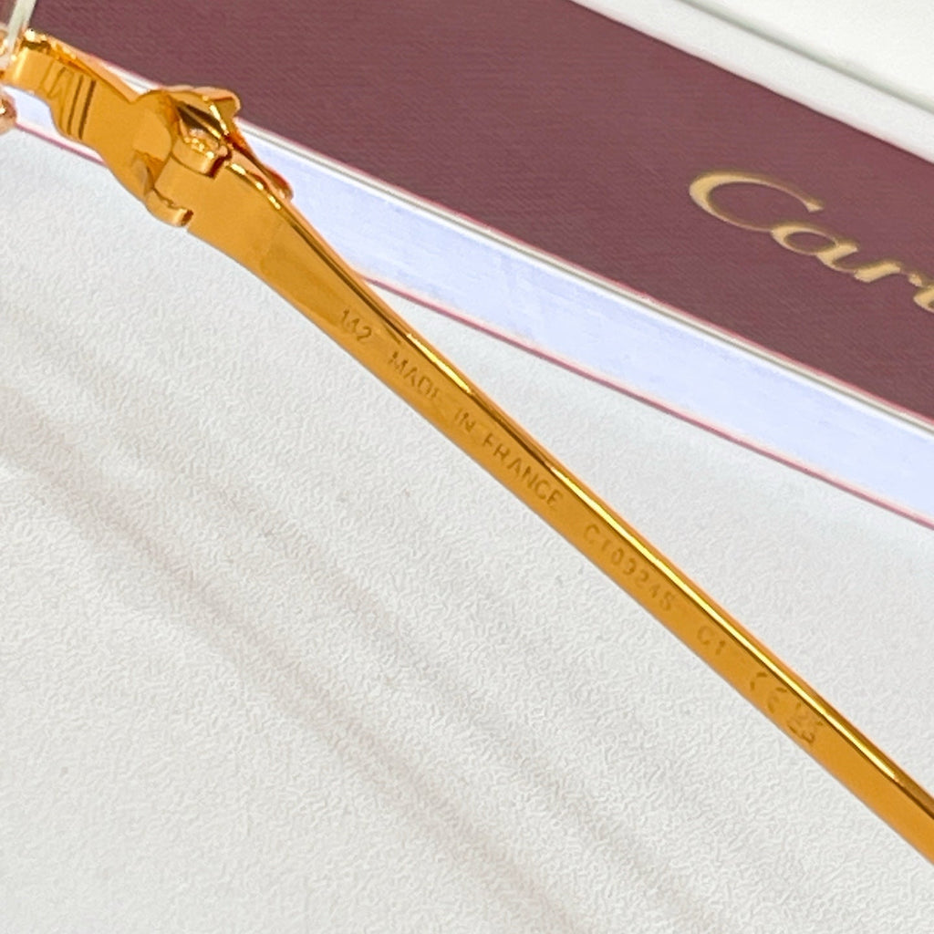Cartier CT0924S Sunglasses product image 6, provided for visual reference and product detail review