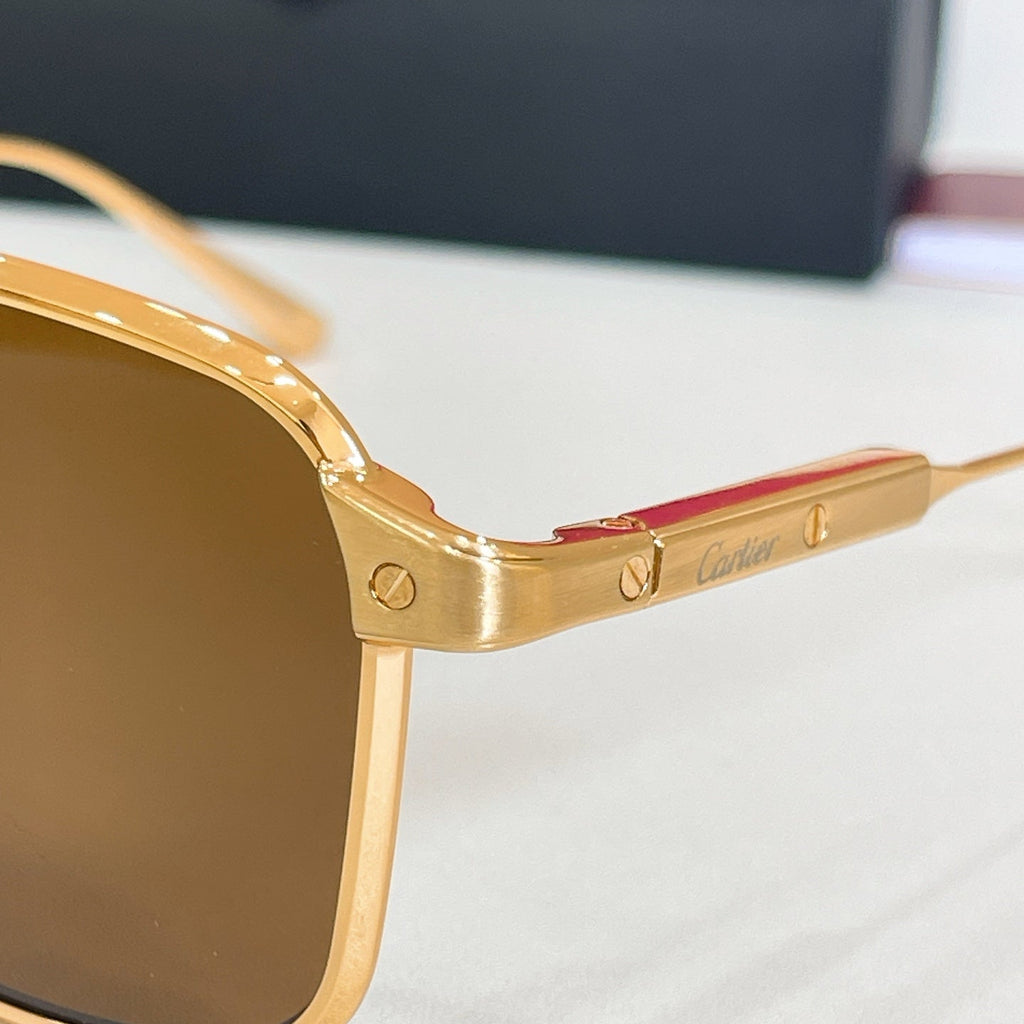 Cartier CT0610S Sunglasses product image 7, provided for visual reference and product detail review