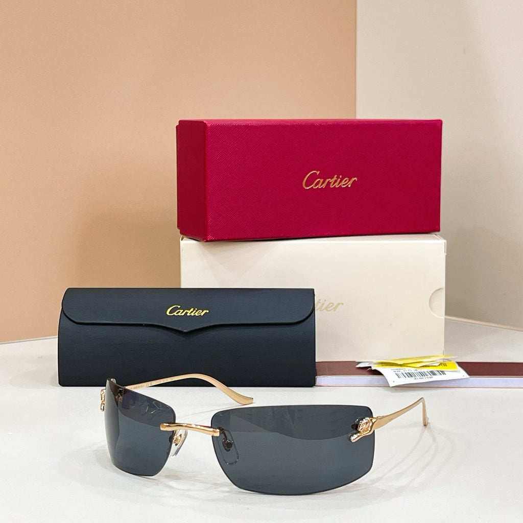 Cartier CT0503S Sunglasses product image 3, provided for visual reference and product detail review